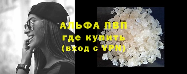 СК Новодвинск