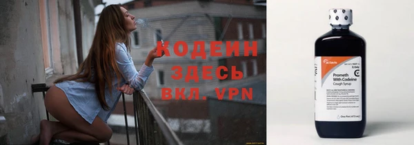молекула духа Нягань