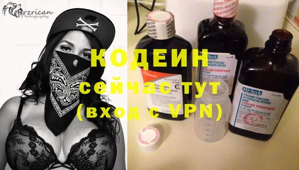 молекула духа Нягань