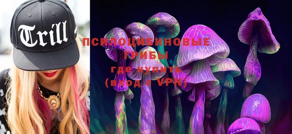 гидропоника Новозыбков
