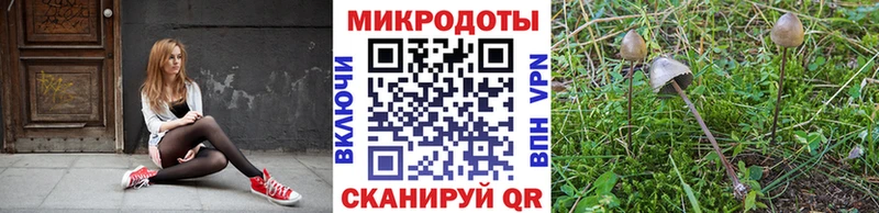 hydra сайт  Лысьва  Галлюциногенные грибы MAGIC MUSHROOMS  дарнет шоп 