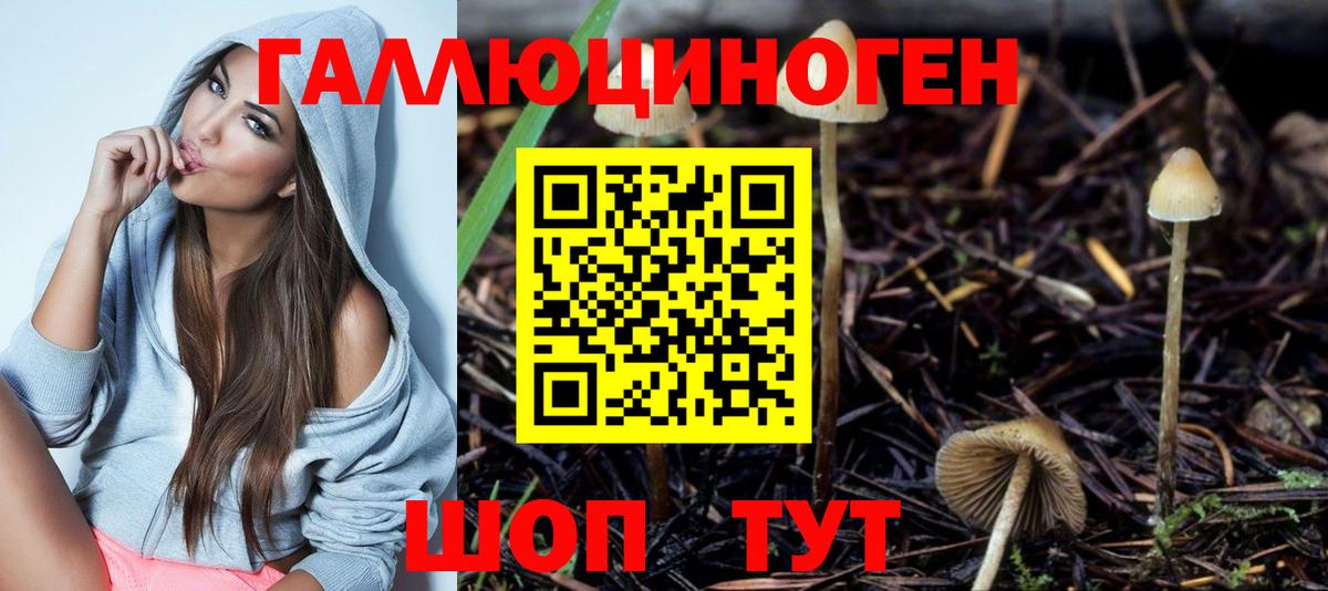 где найти   Псилоцибиновые грибы ЛСД  Вход с VPN  Лысьва 