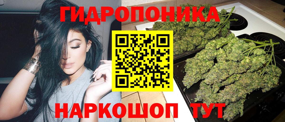 Конопля гибрид Лысьва